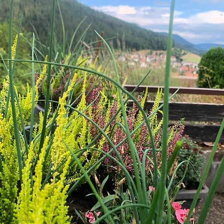 Appartement Mit Herrlicher Aussicht Uebers Murgtal バイアースブロン エクステリア 写真