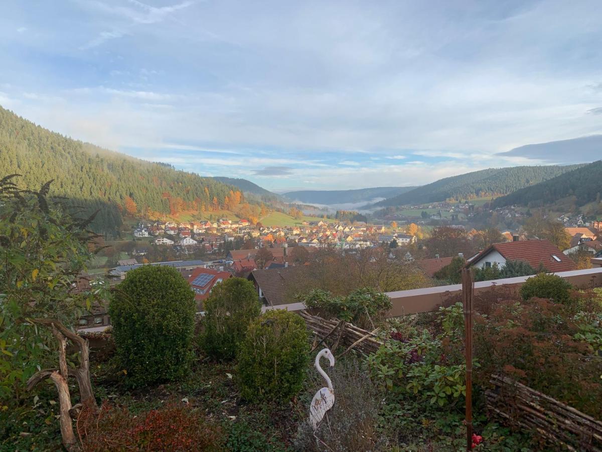 Appartement Mit Herrlicher Aussicht Uebers Murgtal バイアースブロン エクステリア 写真