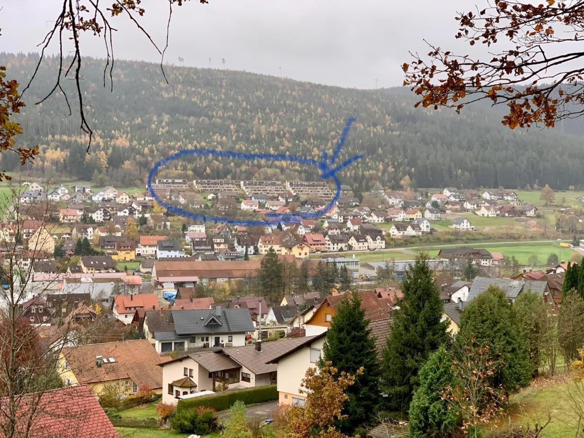 Appartement Mit Herrlicher Aussicht Uebers Murgtal バイアースブロン エクステリア 写真