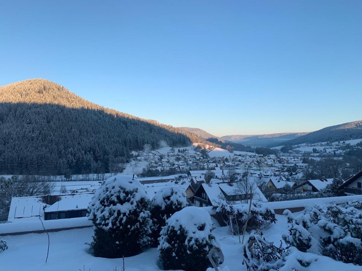 Appartement Mit Herrlicher Aussicht Uebers Murgtal バイアースブロン エクステリア 写真